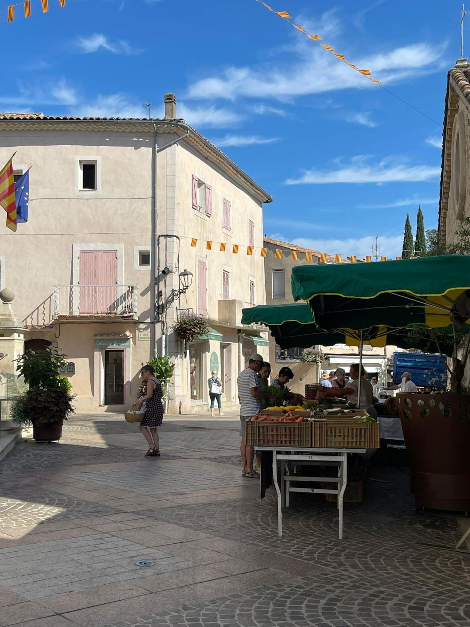 Coeur De Provence Apartment Greoux-les-Bains Exterior photo